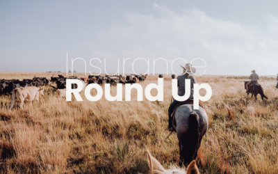 Insurance Round Up