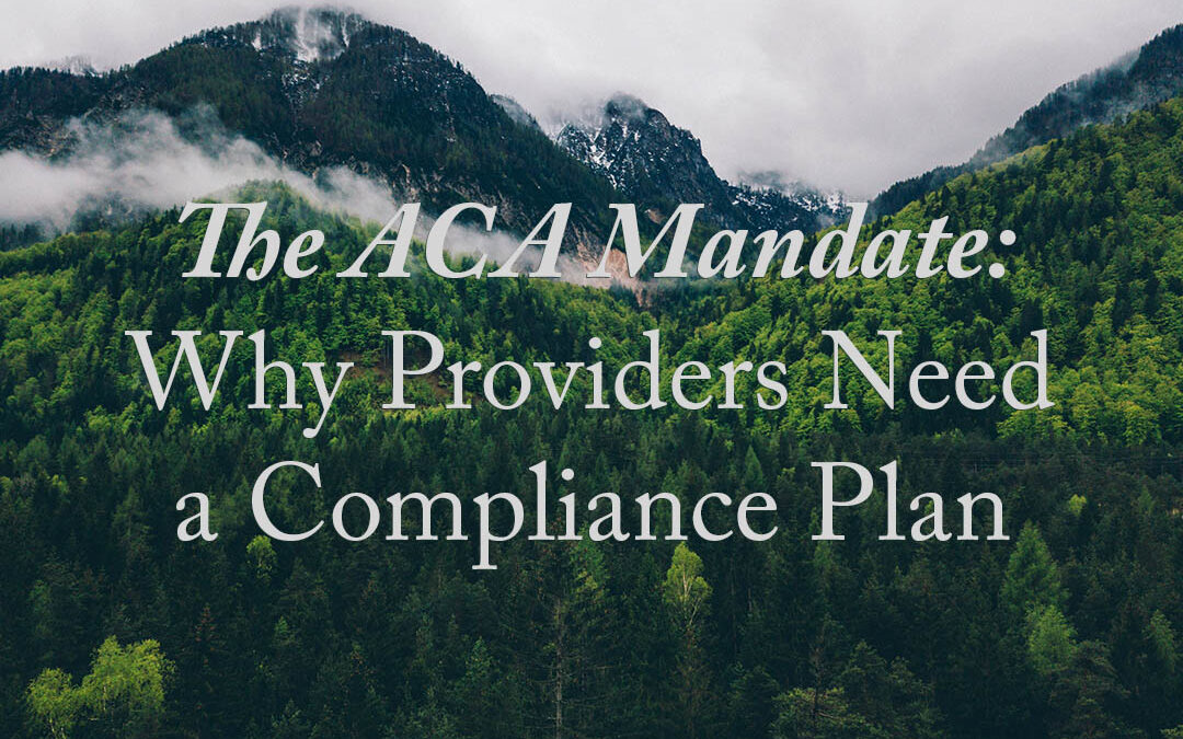 The ACA Mandate: Why Providers Need a Compliance Plan